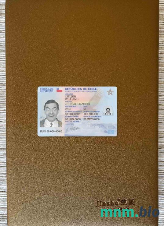 Chile ID fotowygląd skan i fotorealistyczny snapshot, 2 w 1